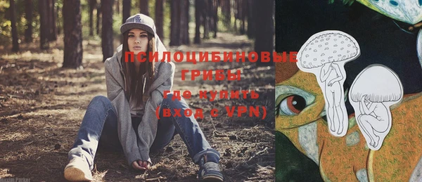мдпв Новокубанск