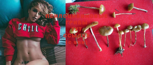 PSILOCYBIN Вязники