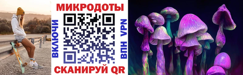 где можно купить   Курчалой  Галлюциногенные грибы Magic Shrooms 