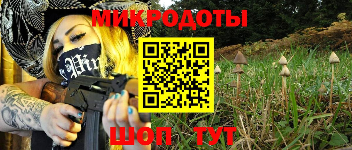 купить  сайты  Галлюциногенные грибы GOLDEN TEACHER  Вход с VPN  Курчалой 