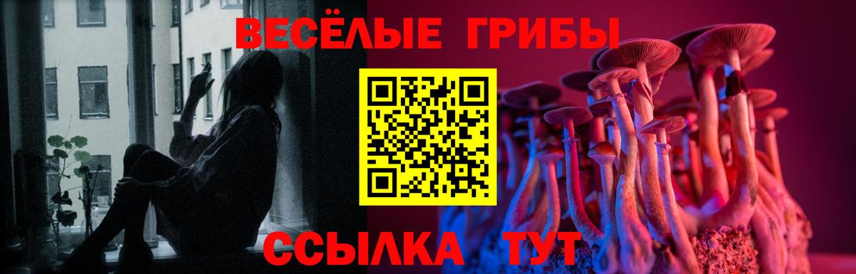Псилоцибиновые грибы Cubensis Курчалой